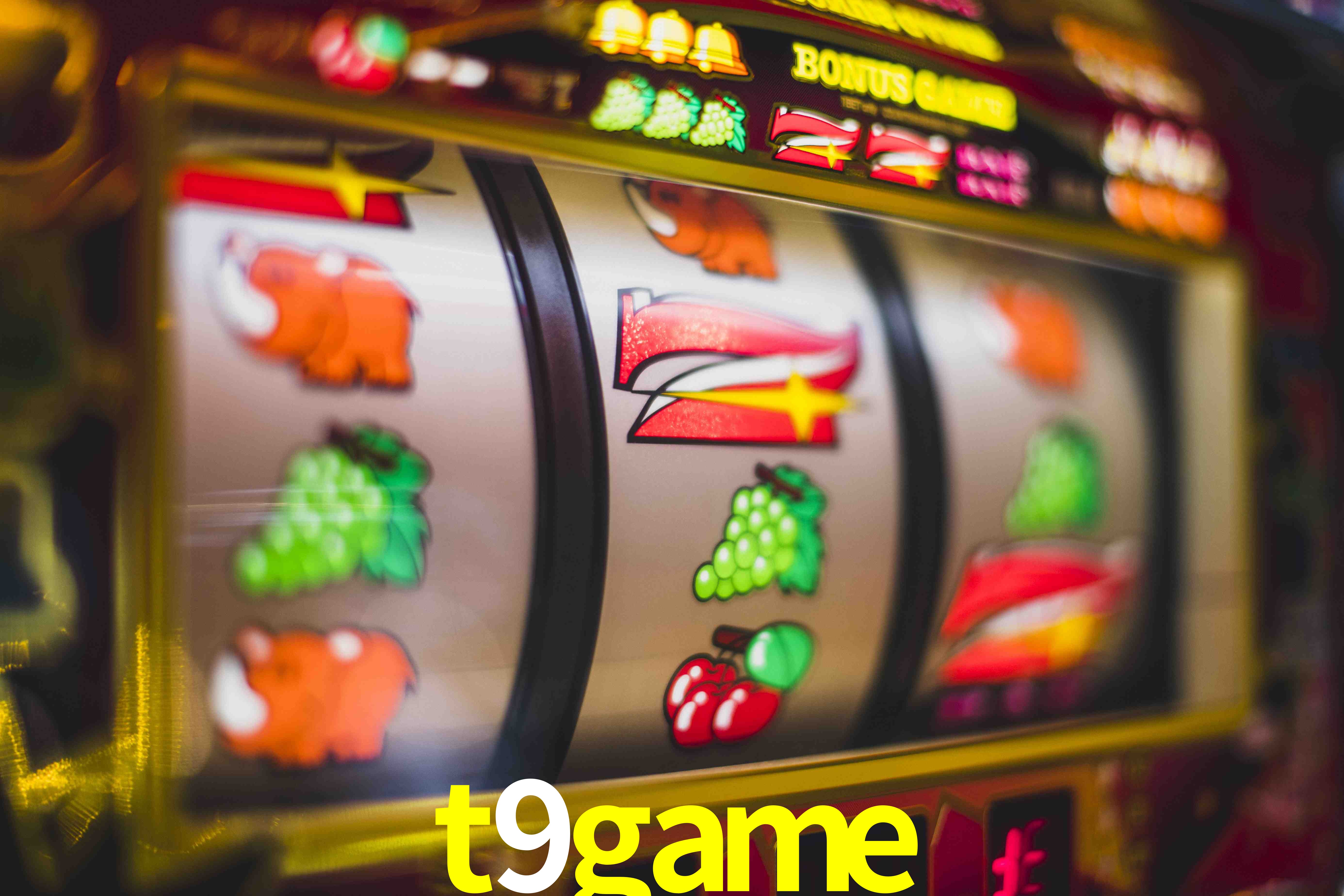 Sports Statistics t9game